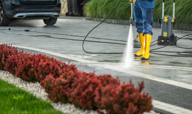 Best Dumpster Area Cleaning  in Henderson, TX
